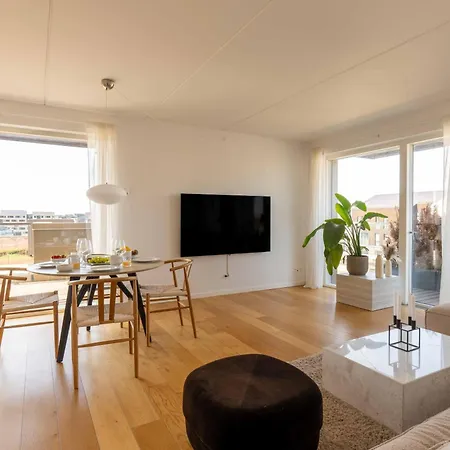 Modern Penthouse With Rooftop In Enghave Brygge Copenhagen