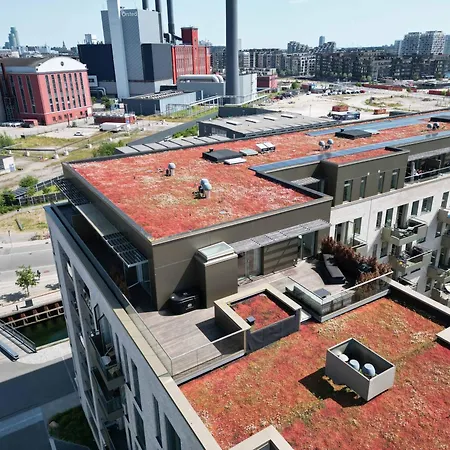 Apartment Modern Penthouse With Rooftop In Enghave Brygge *