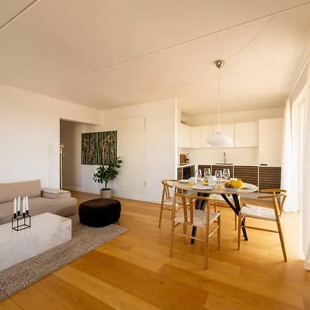 Apartman Modern Penthouse With Rooftop In Enghave Brygge